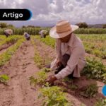 Homem com chapéu de palha no campo