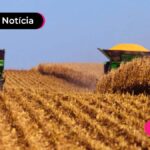 Imagem de uma safra agricola