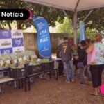 imagem de pessoas em fila buscando alimentos