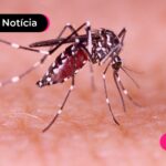 Síndrome do Zika Vírus tem direito a pensão vitalícia.