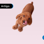 quanto custa ter um cachorro