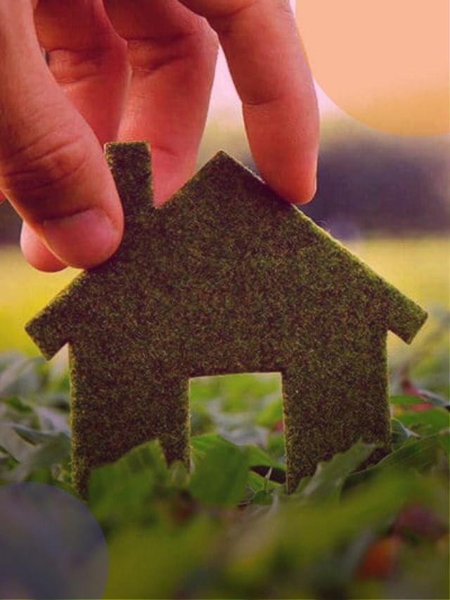 Miniatura de casa em formato de plantas.
