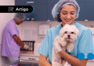 Quanto ganha um veterinário e qual a formação exigida?