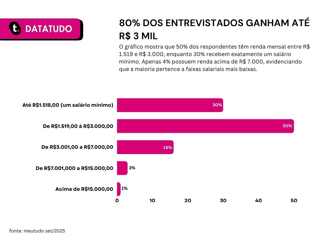 80% ganham até R$3 mil; 30% recebem salário mínimo, 50% entre R$1.519 e R$3.000, 16% até R$7 mil e 4% acima disso.
