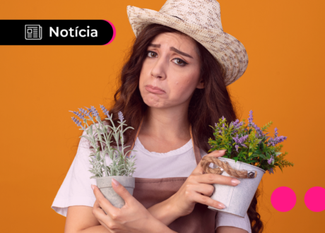 Golpes em sites falsos do PGMEI causam prejuízo a microempreendedores