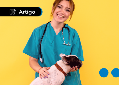 Consulta grátis no veterinário: é possível? Como conseguir