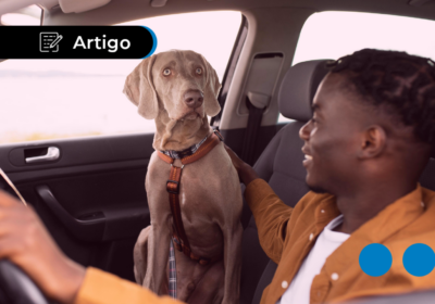 Regras para viajar com cachorro de carro: o que seguir