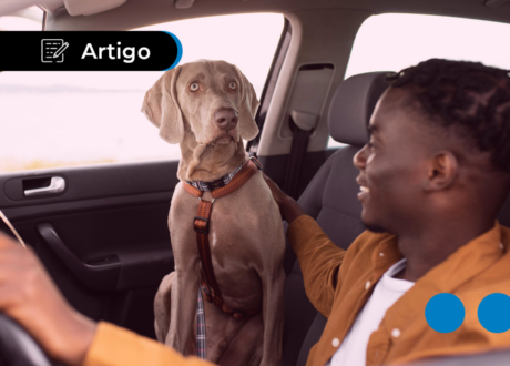 Regras para viajar com cachorro de carro: o que seguir