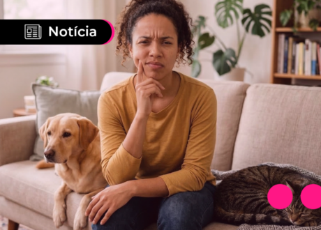 Projeto no Congresso quer permitir dedução de despesas com pets no Imposto de Renda