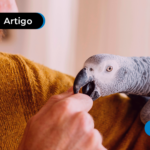 Pessoa com animal de estimação.