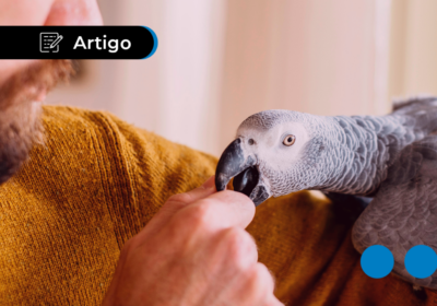 Qual animal você seria na entrevista de emprego? Respostas