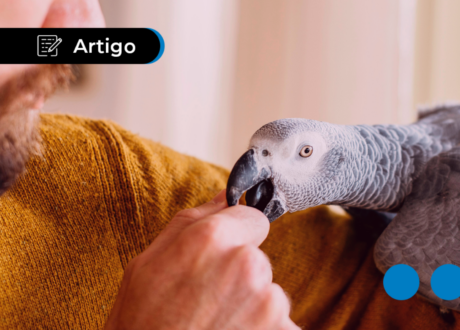 Qual animal você seria na entrevista de emprego? Respostas
