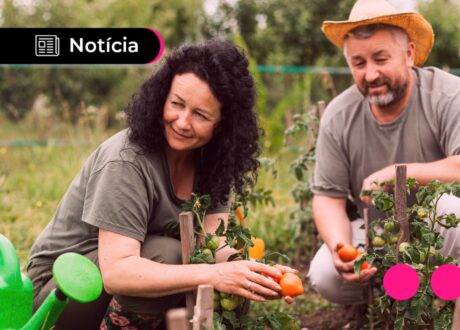 Programa Desenrola Rural é prorrogado até dezembro de 2026; veja regras
